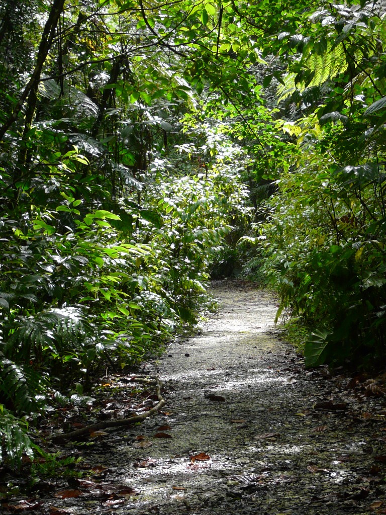 Chemin de randonnée