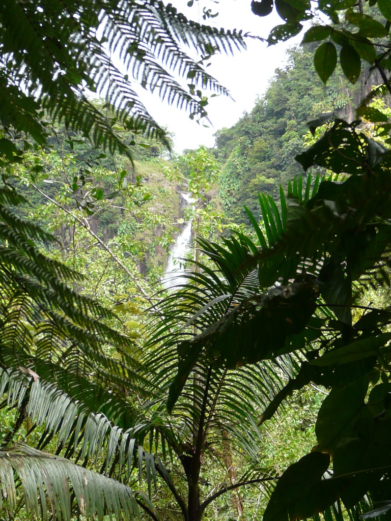 Chute du Carbet