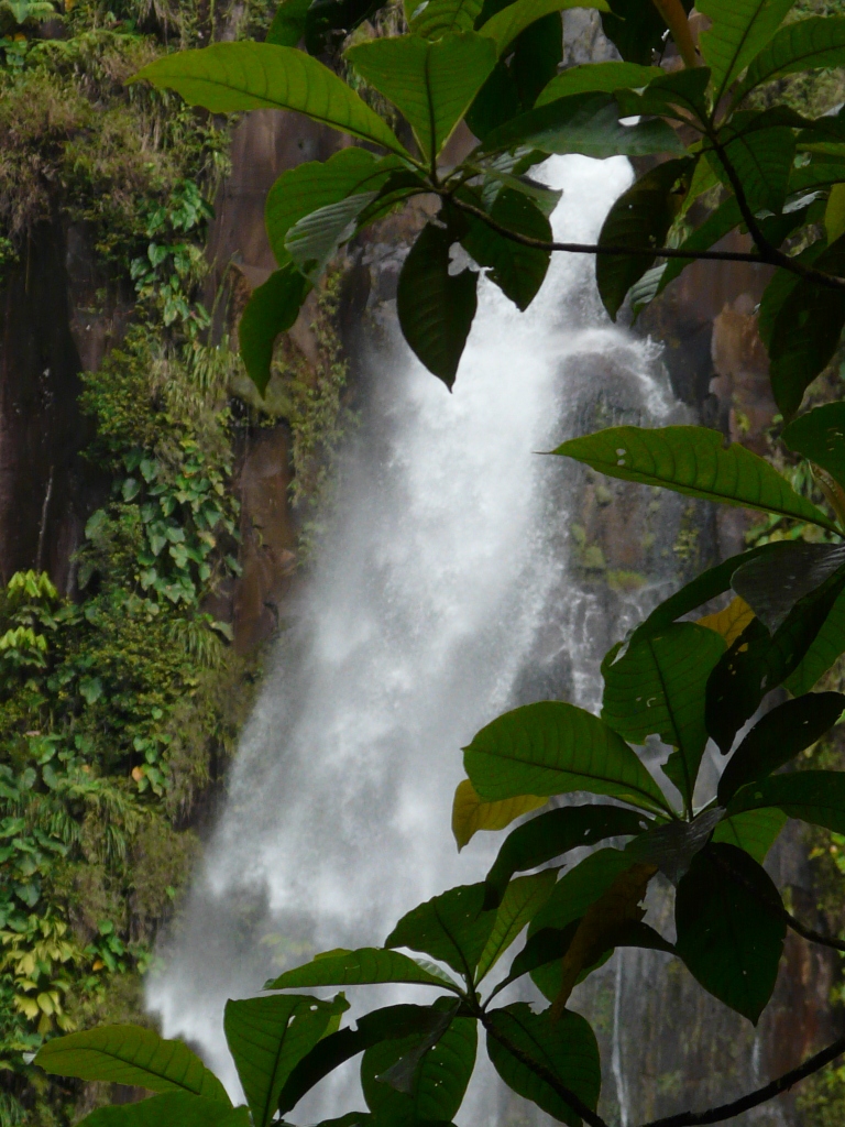 Chute du Carbet