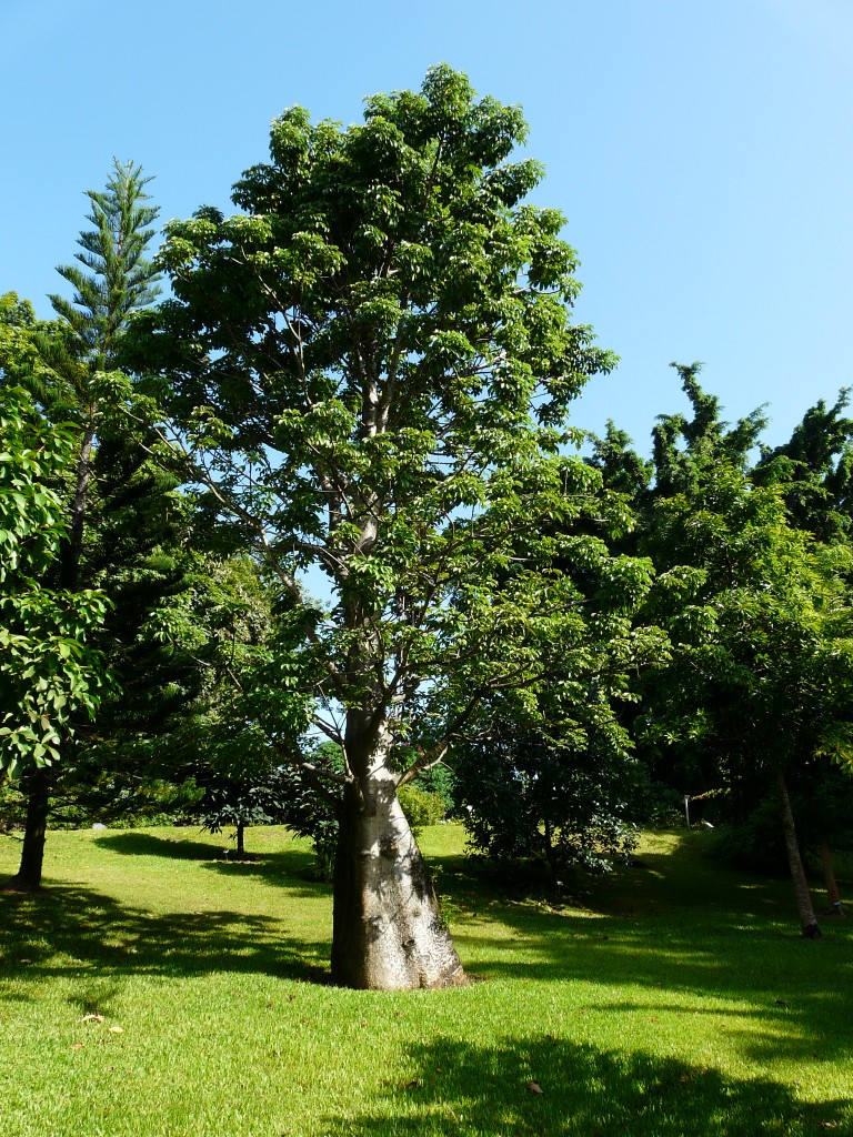 Parc de Deshaies