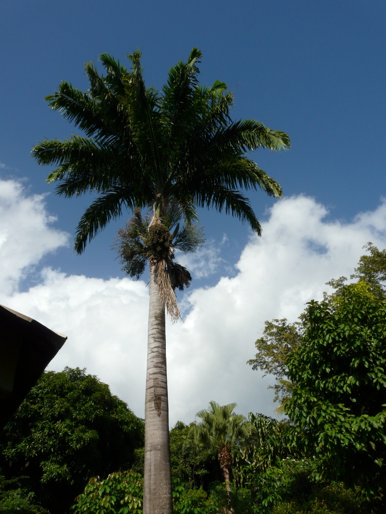 Parc de Deshaies