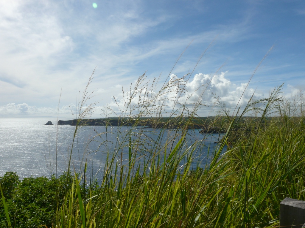 Pointe de la Grande Vigie
