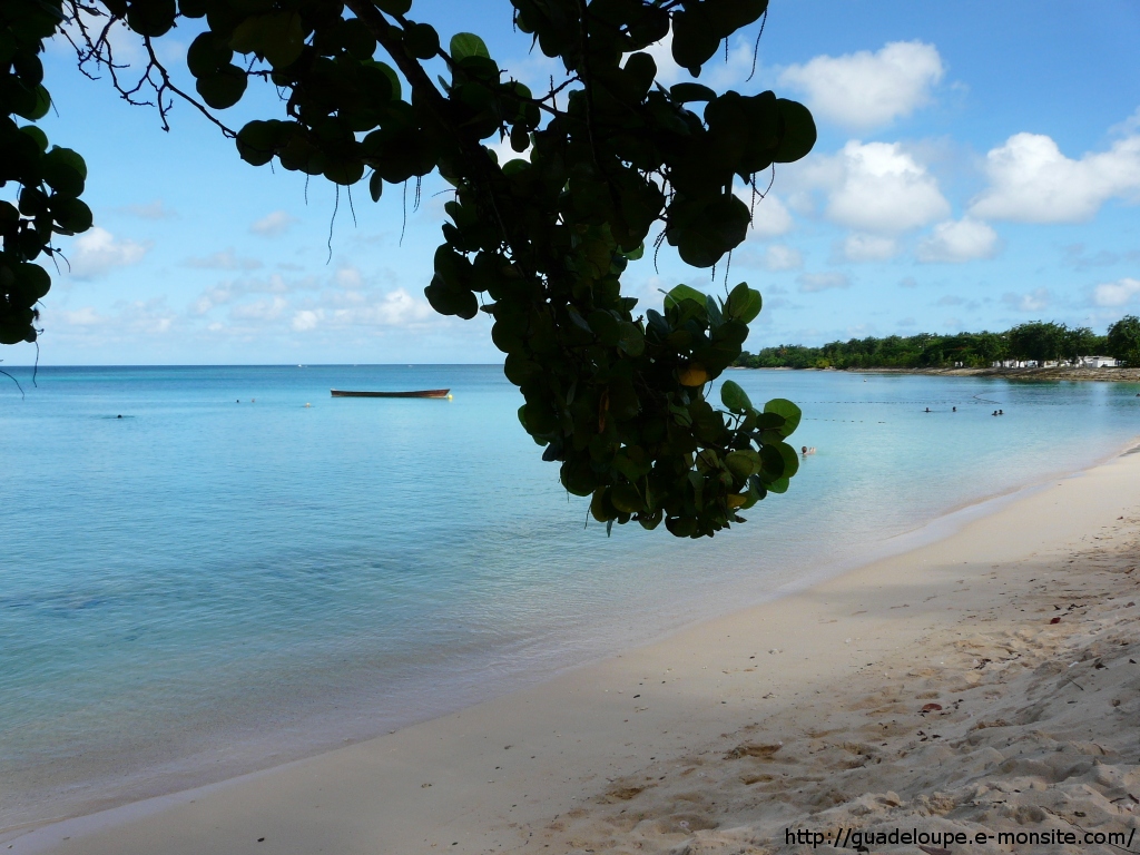 Guadeloupe - Plage du Souffleur