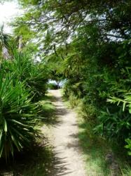 le Chemin de Ronde