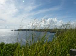 La Pointe de la Grande Vigie