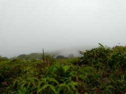 La Soufrière : dans les nuages