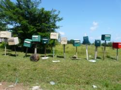 Boites aux lettres au bord de la route