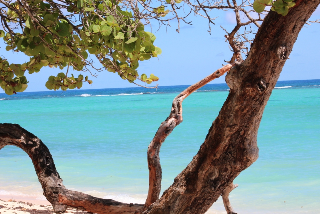 Plage de Grand Bourg